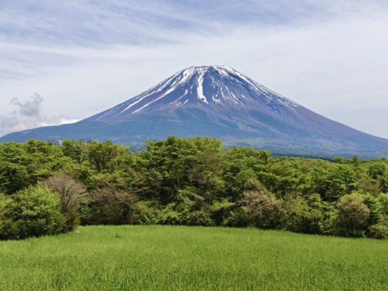 富士ヒルクライム試走2025〜ゴールドペースの遠足〜